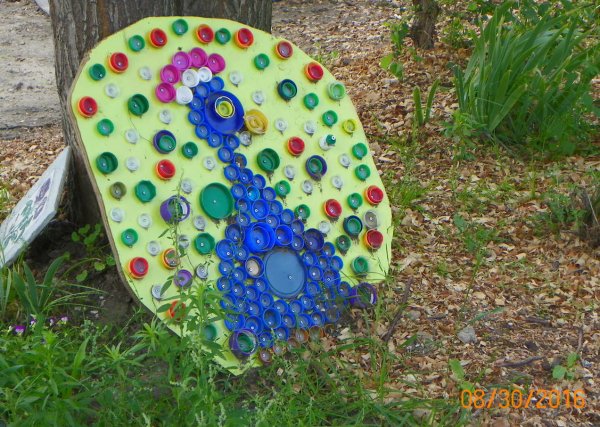 Peacock-all caps.JPG
