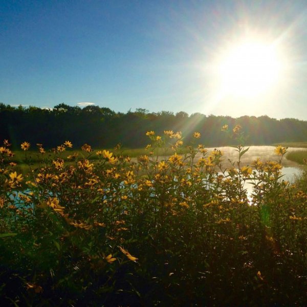 dasy at the farm.jpg