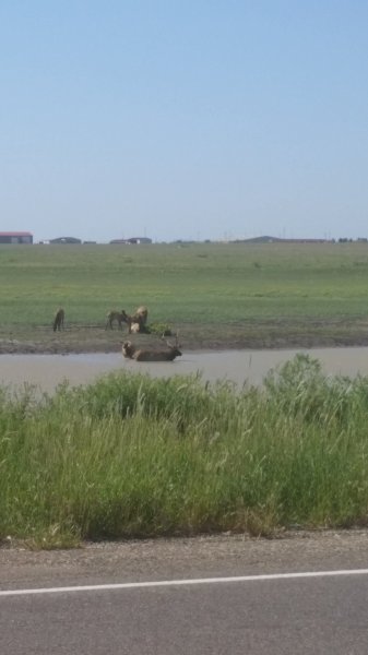20160905_114656.jpg