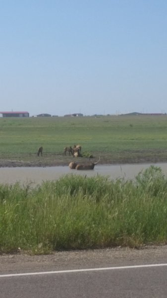 20160905_114701.jpg