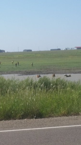 20160905_114718.jpg