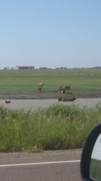 20160905_114722.jpg