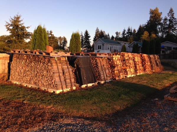 woodpile2016.JPG
