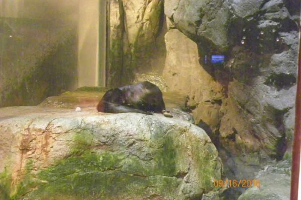 102_0418.JPG