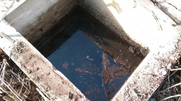 20160922_162442.jpg