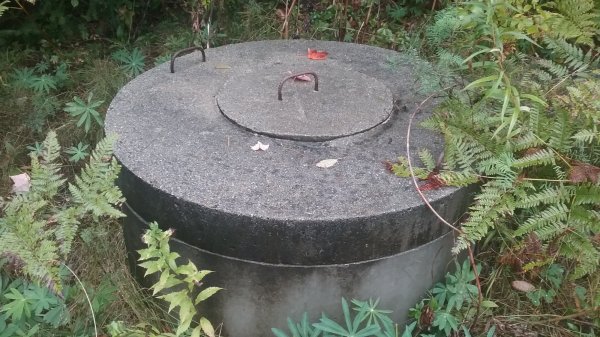 20160923_132414.jpg