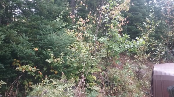 20160923_132702.jpg