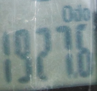 DSCF7239.JPG