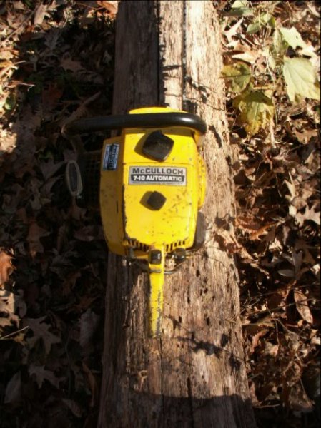 PICT6990.JPG