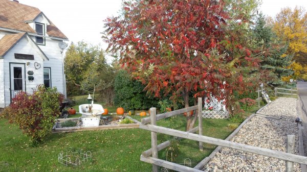 20161002_173844.jpg