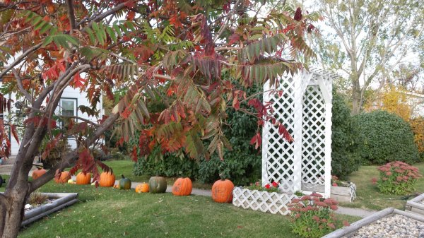 20161002_173919.jpg