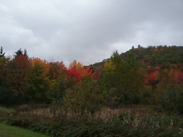 20161003_141201.jpg