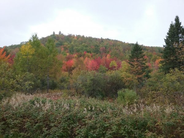 20161003_141157.jpg