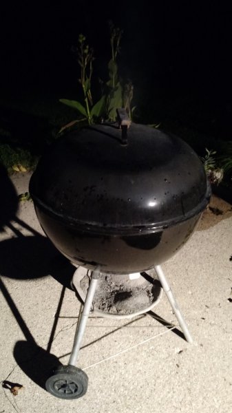 IMG_20161004_190149235.jpg