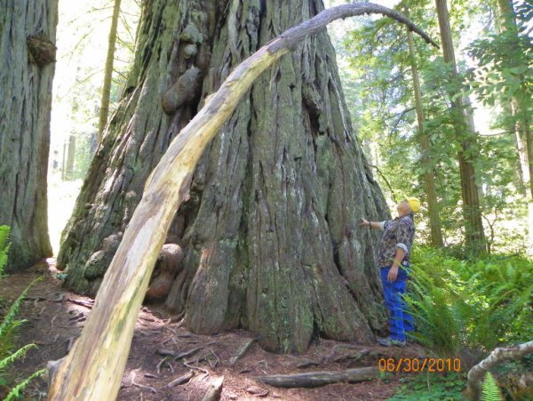 Figuring how to notch it-b.JPG