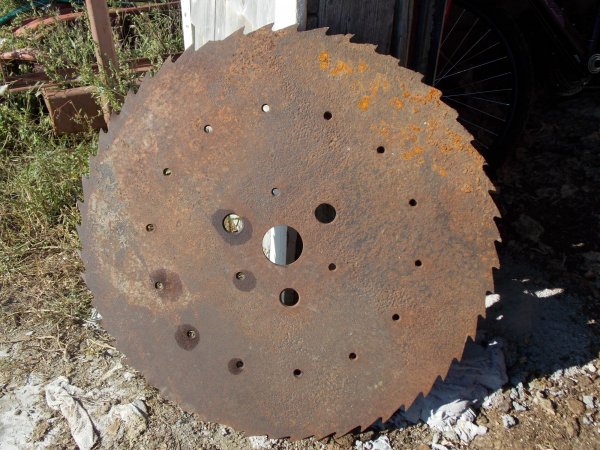 Old Sawblade.JPG