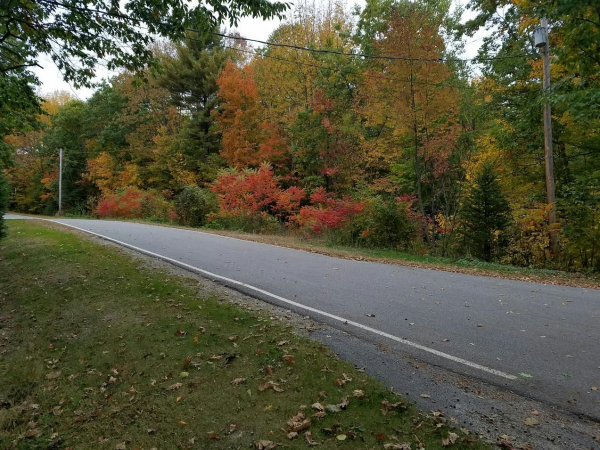 fall road.png