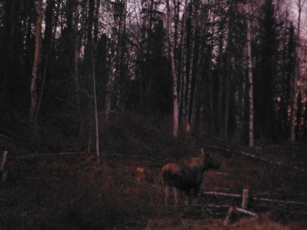 DSCF7271.JPG