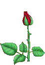 ATT00007.gif
