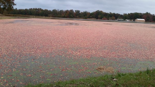 20161020_173519.jpg