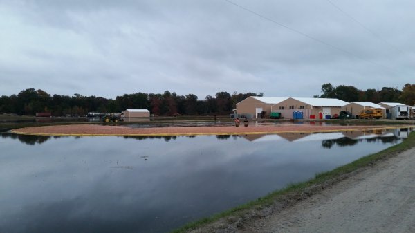20161020_180646.jpg
