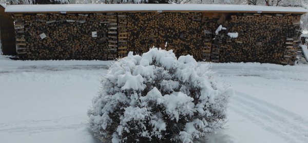 DSCF7369.JPG