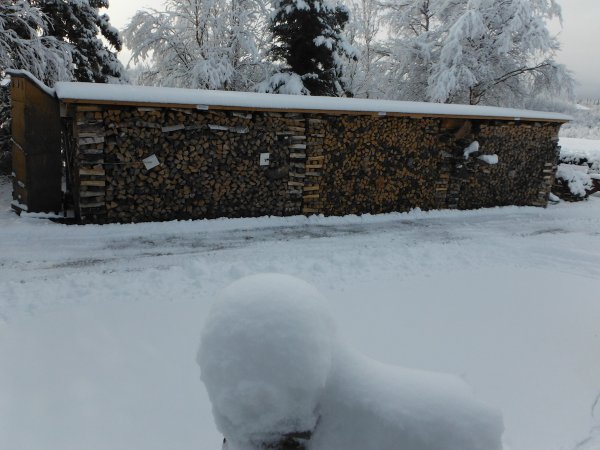 DSCF7368.JPG