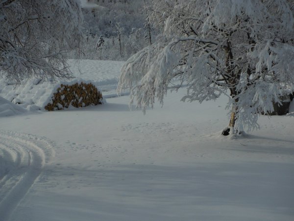 DSCF7371.JPG
