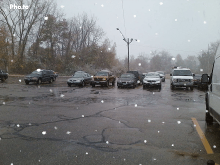 first snow falling.gif