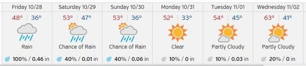 weathernext week.JPG