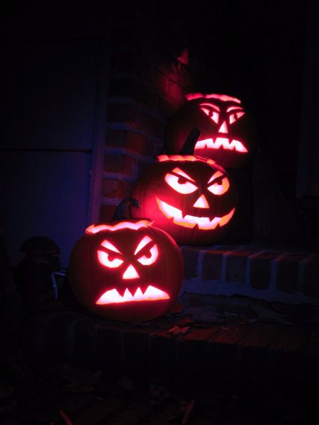 Img_1429_a.jpg