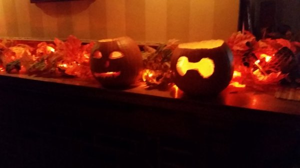 20161028_153439.jpg