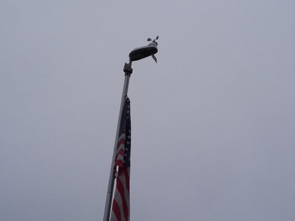 20161031_114609.jpg