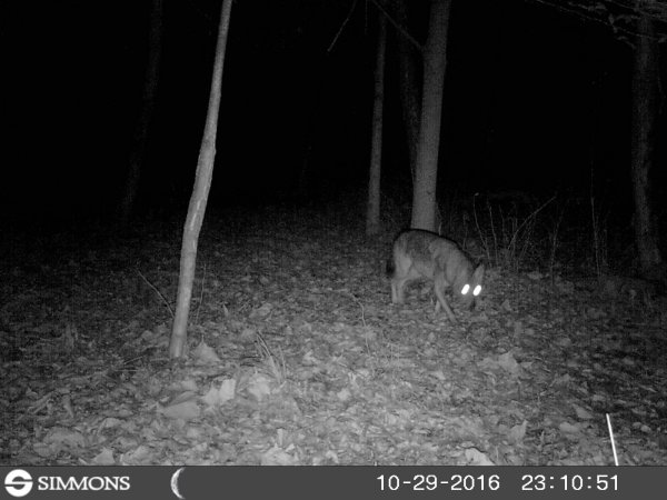 HUNT0017.JPG