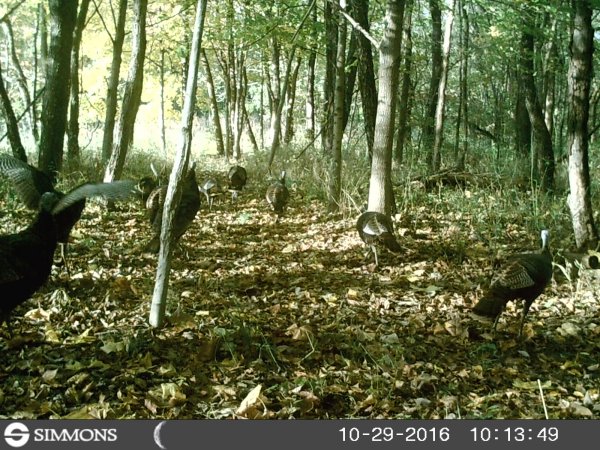 HUNT0010.JPG