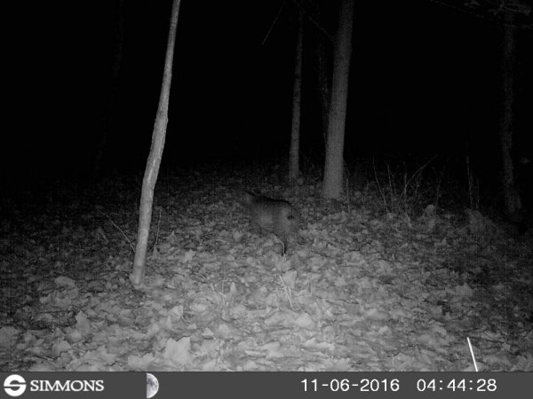 HUNT0147.JPG