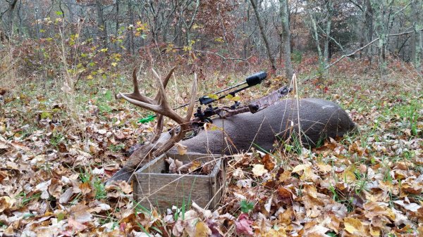 2016-11-09 16.05.51.jpg