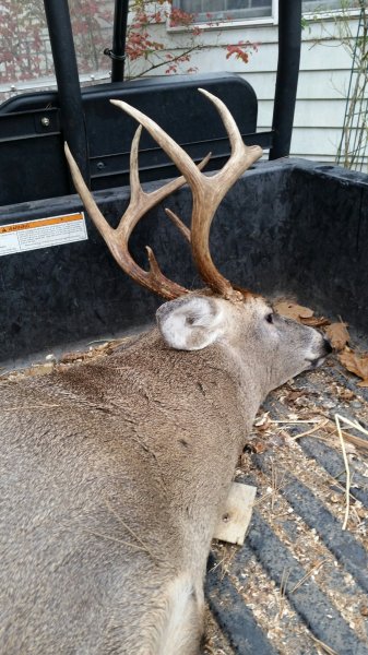 2016-11-09 16.08.15.jpg