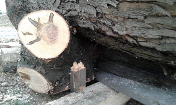 20161114_132423.jpg