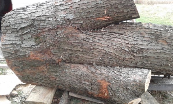 20161114_132407.jpg