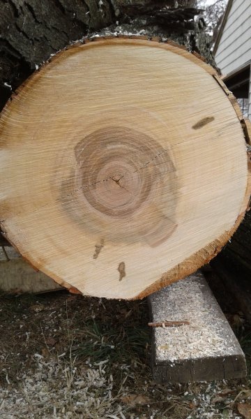 20161114_132310.jpg