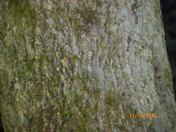 102_0735.JPG