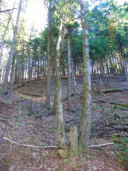 102_0736.JPG