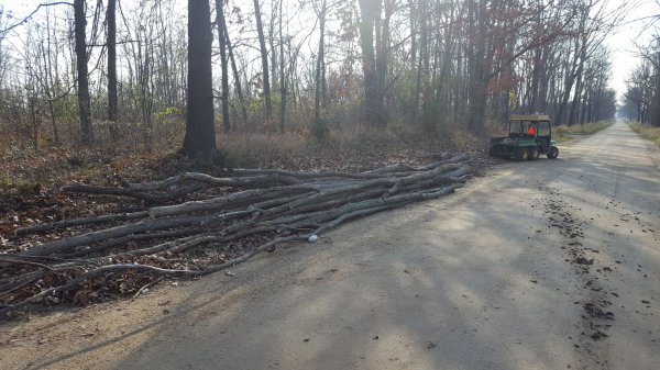 20161115_104316.jpg