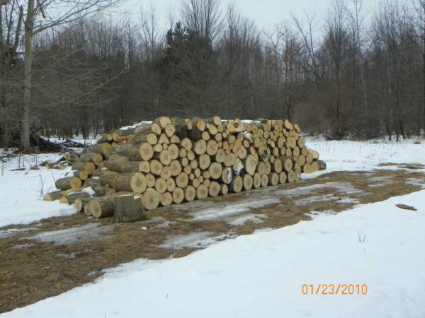 Splitting pile-2.JPG