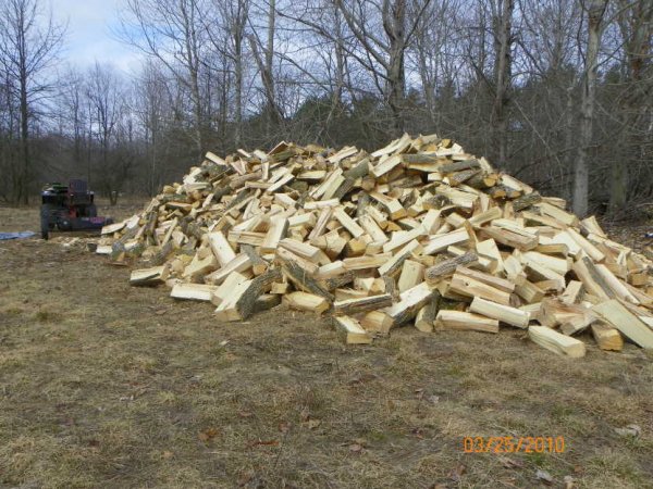 Wood split 2010c.JPG