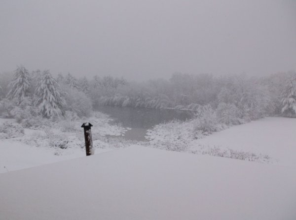DSCF0176.JPG