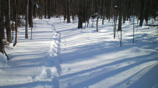 1st snow shoe #6.jpg