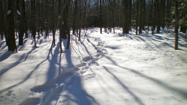 1st snow shoe #5.jpg
