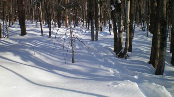 1st snow shoe #4.jpg